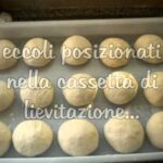 Come cuocere le pizze nel forno a legna